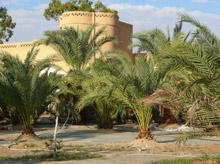 Siwa